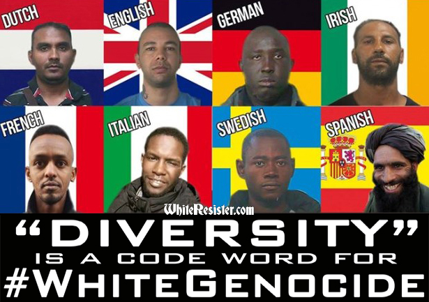 la-diversite-en-tant-que-genocide-contre-les-caucasiens.jpg