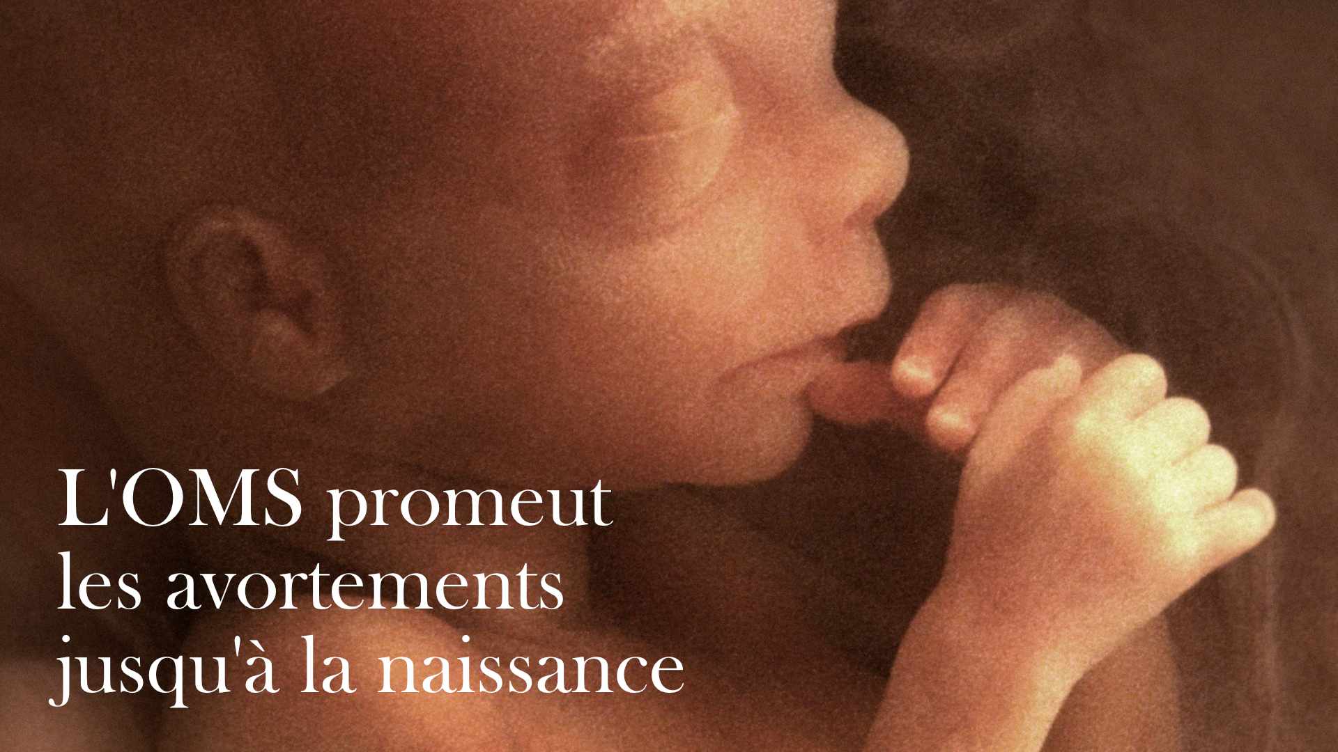 l-oms-promeut-les-avortements-jusqu-a-la-naissance.jpg