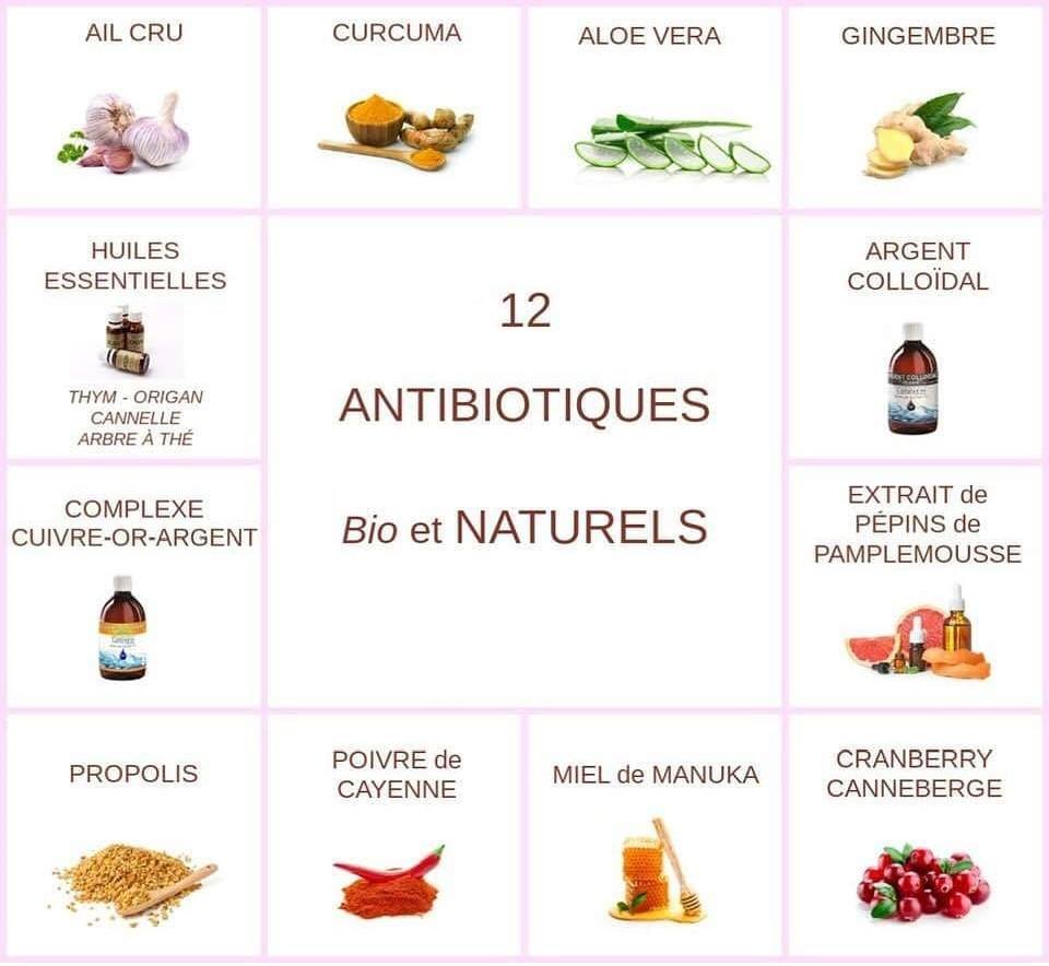 12-antibiotiques-naturels.jpg