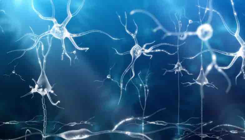stimulation-des-neurones.jpg