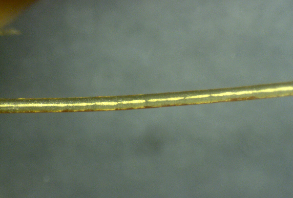 nanofils-4.png