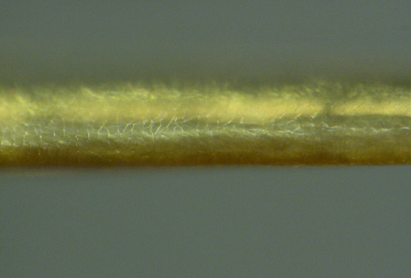 nanofils-9.png