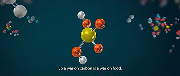 war-on-carbon-food.png