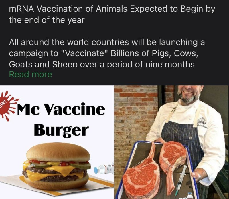 la-prochaine-cible-des-vaccins-a-arnm.jpg