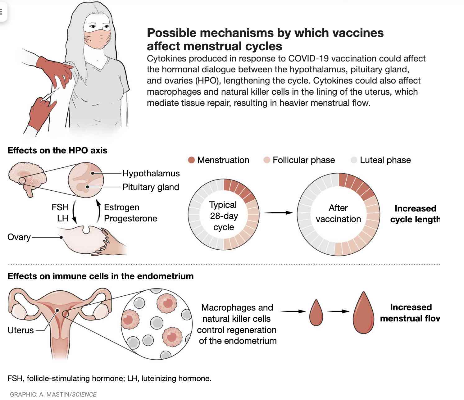 vaccins-et-menstruations.jpg