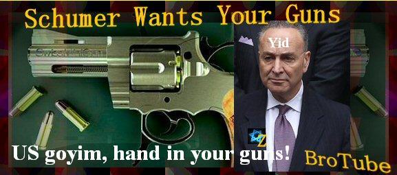 SenatorSchumerWantsYourGuns.jpg