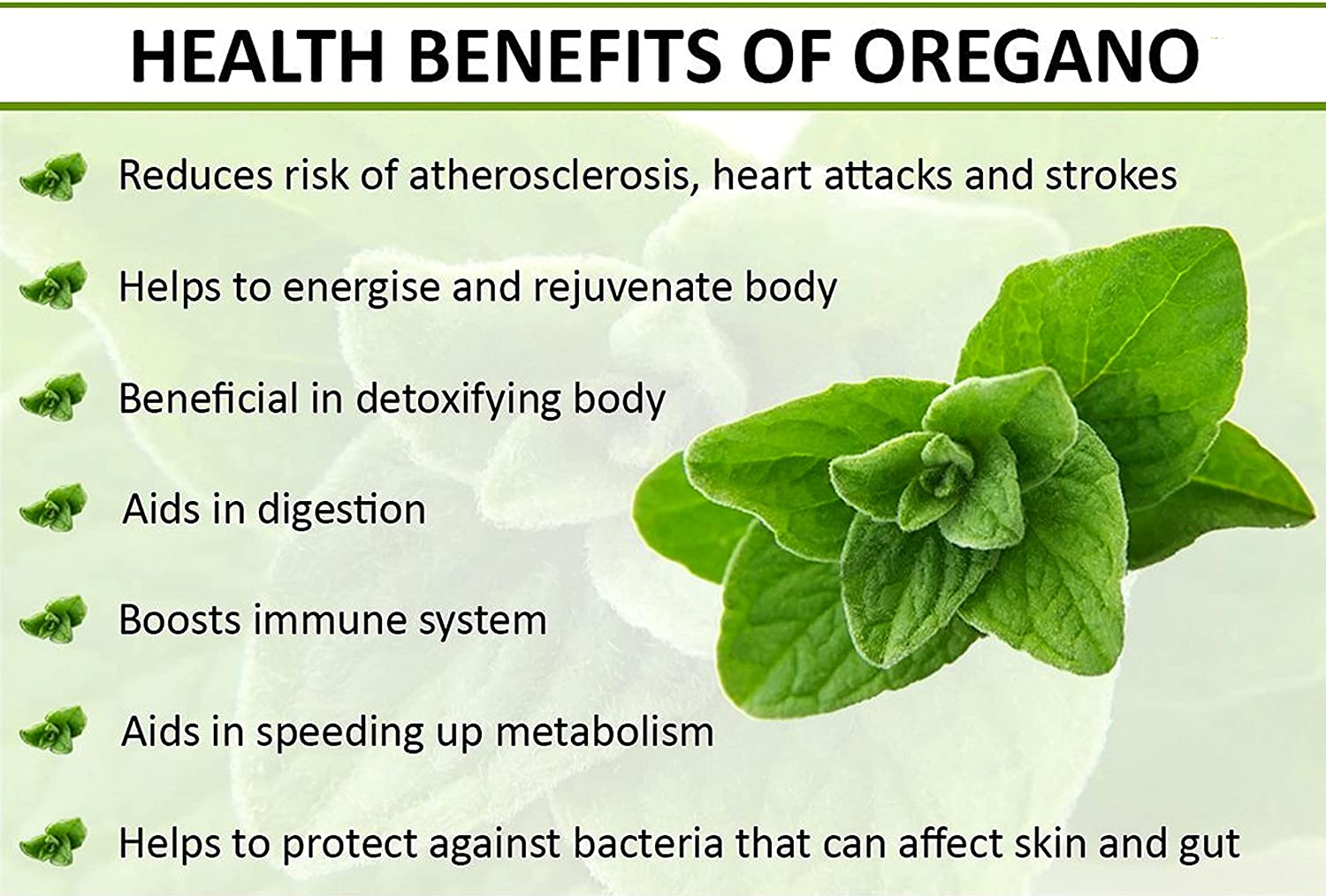 benefices-de-l-origan.jpg