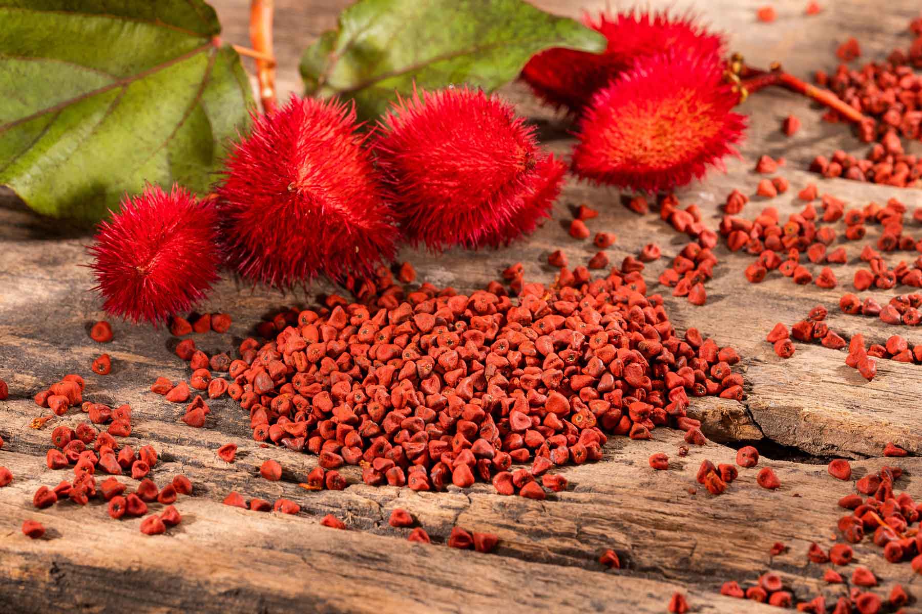 annatto-achiote.jpg