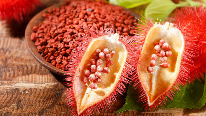 graines-d-annatto-dans-le-fruit.jpg