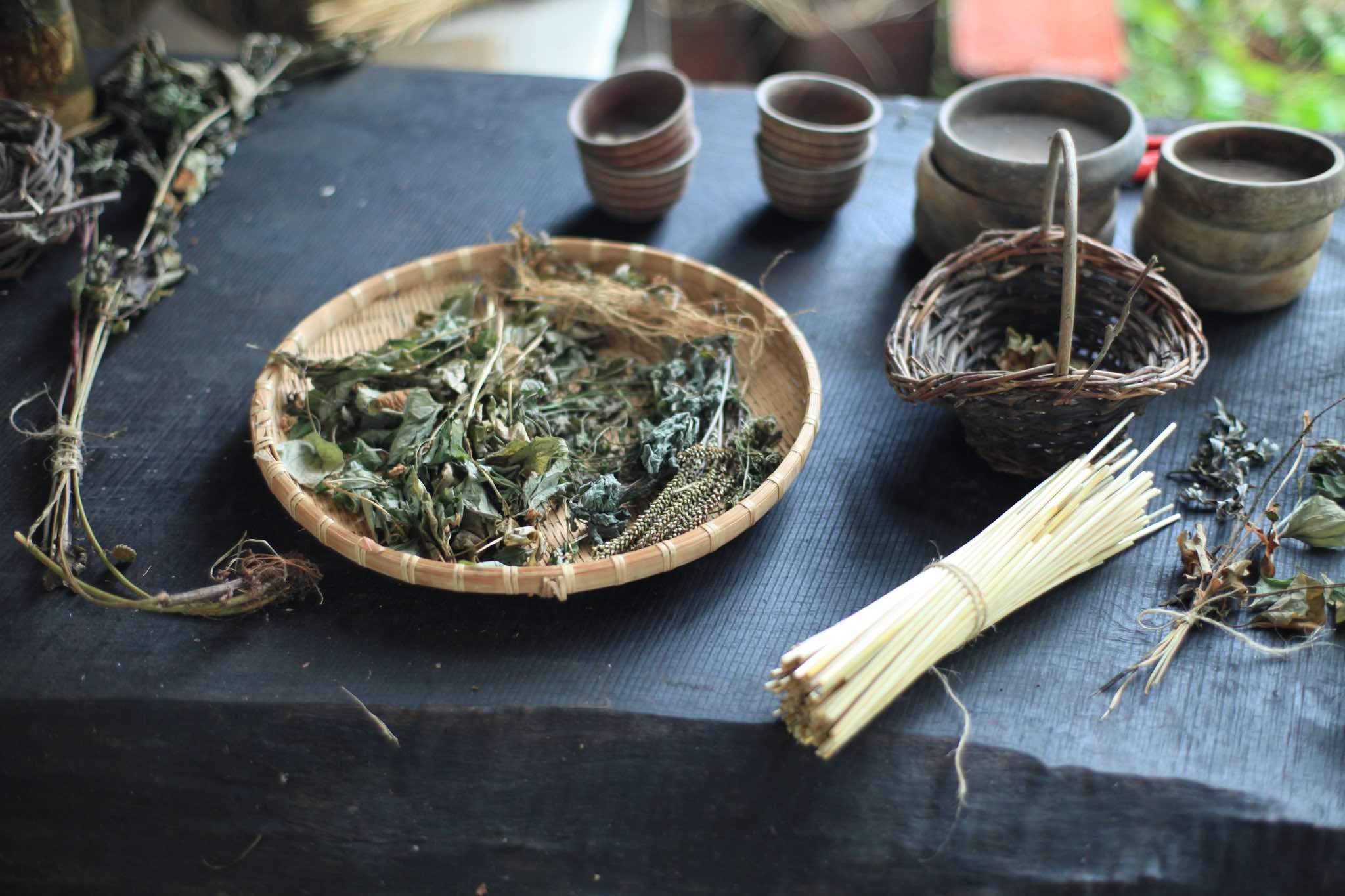 plantes-medicinales.jpg