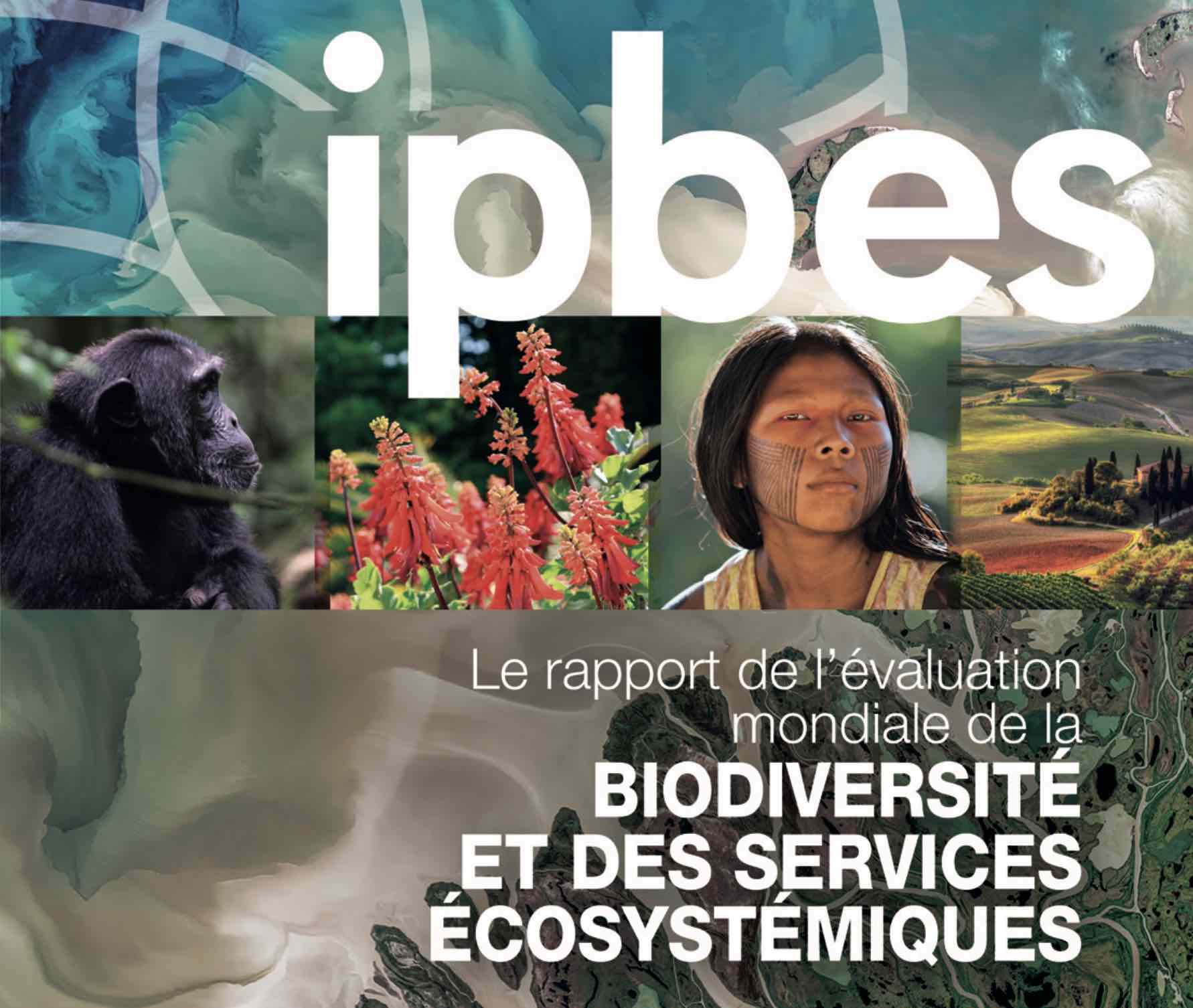 rapport-ipbes.jpg