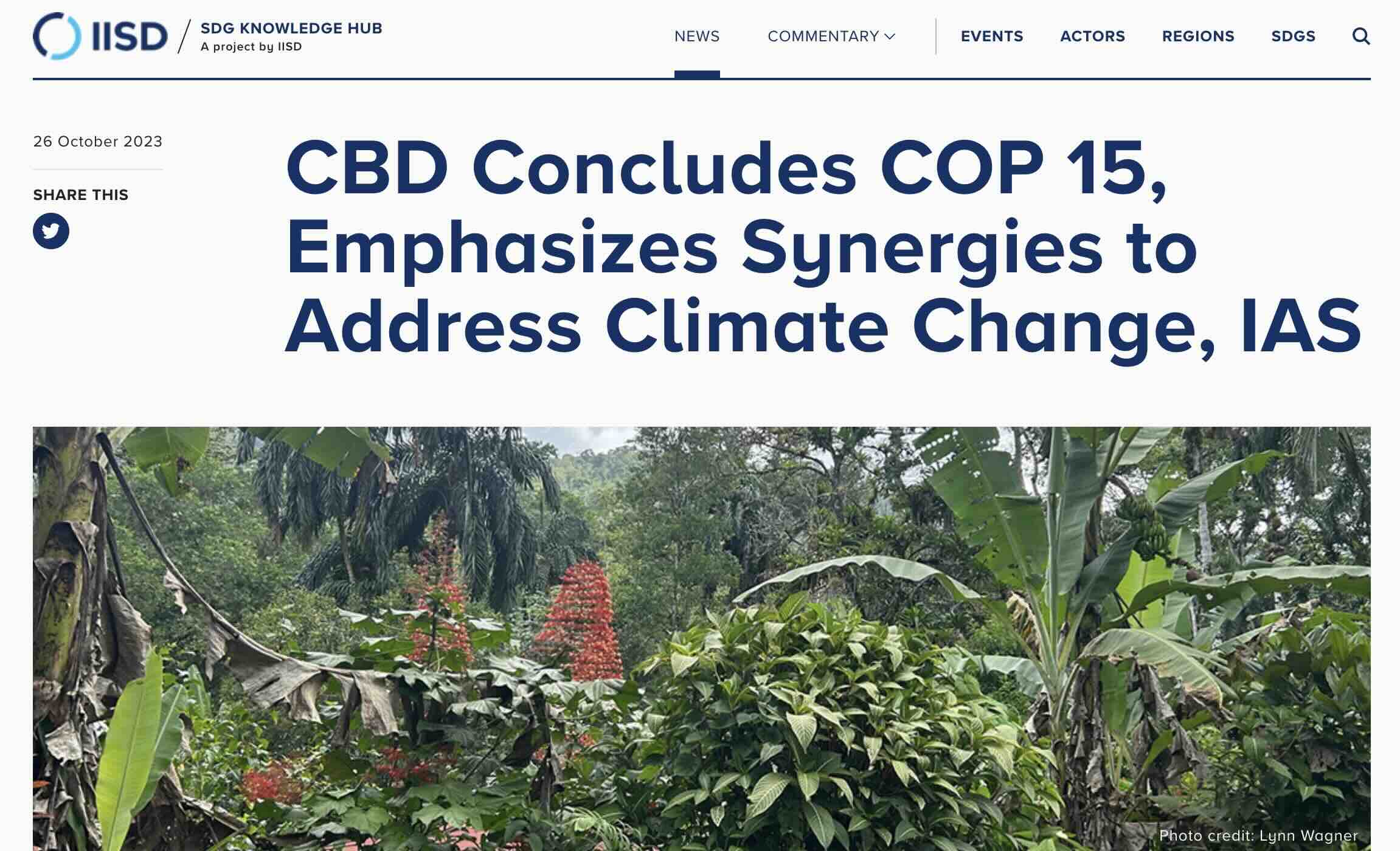iisd-et-les-odd-et-le-climat.jpg