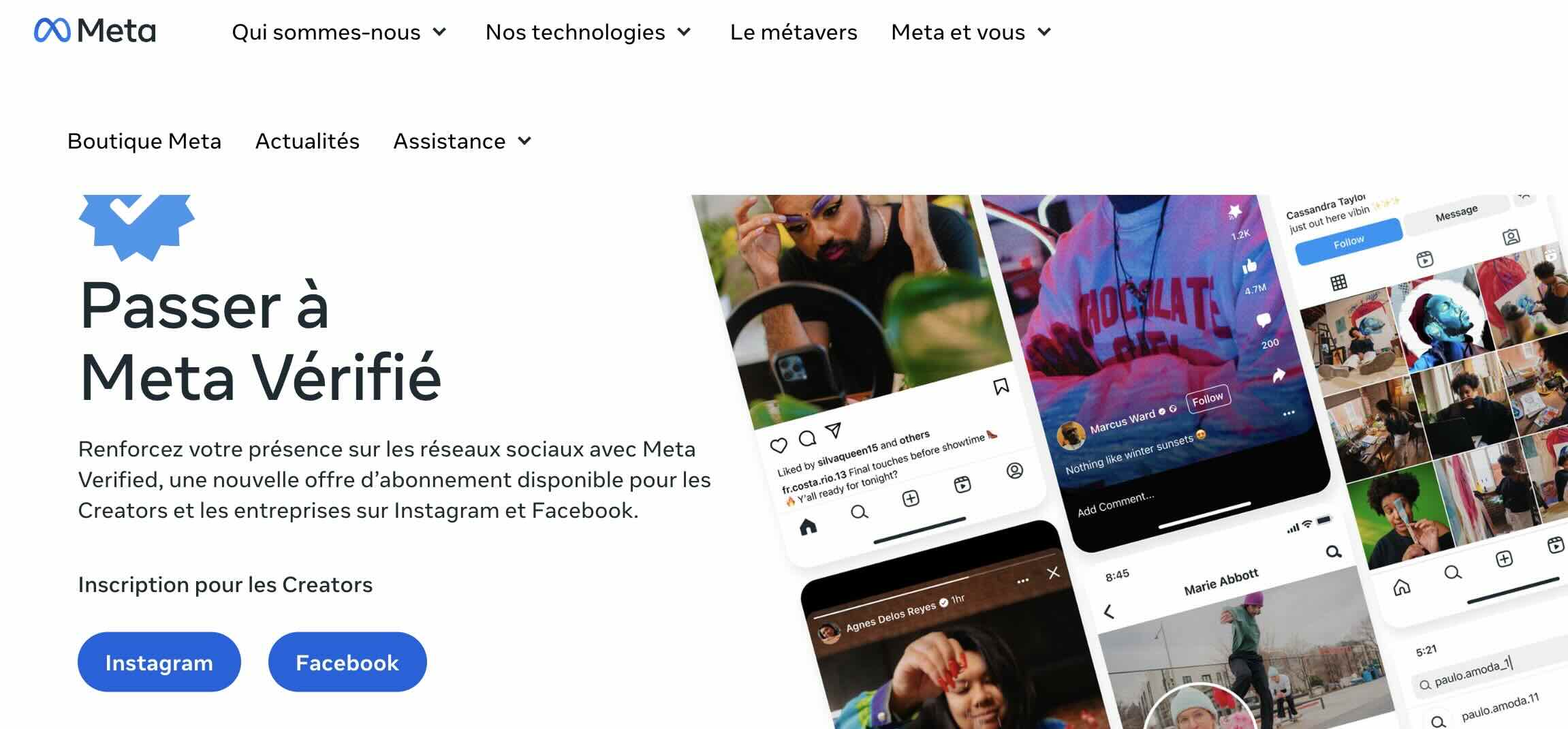 meta-verifie.jpg