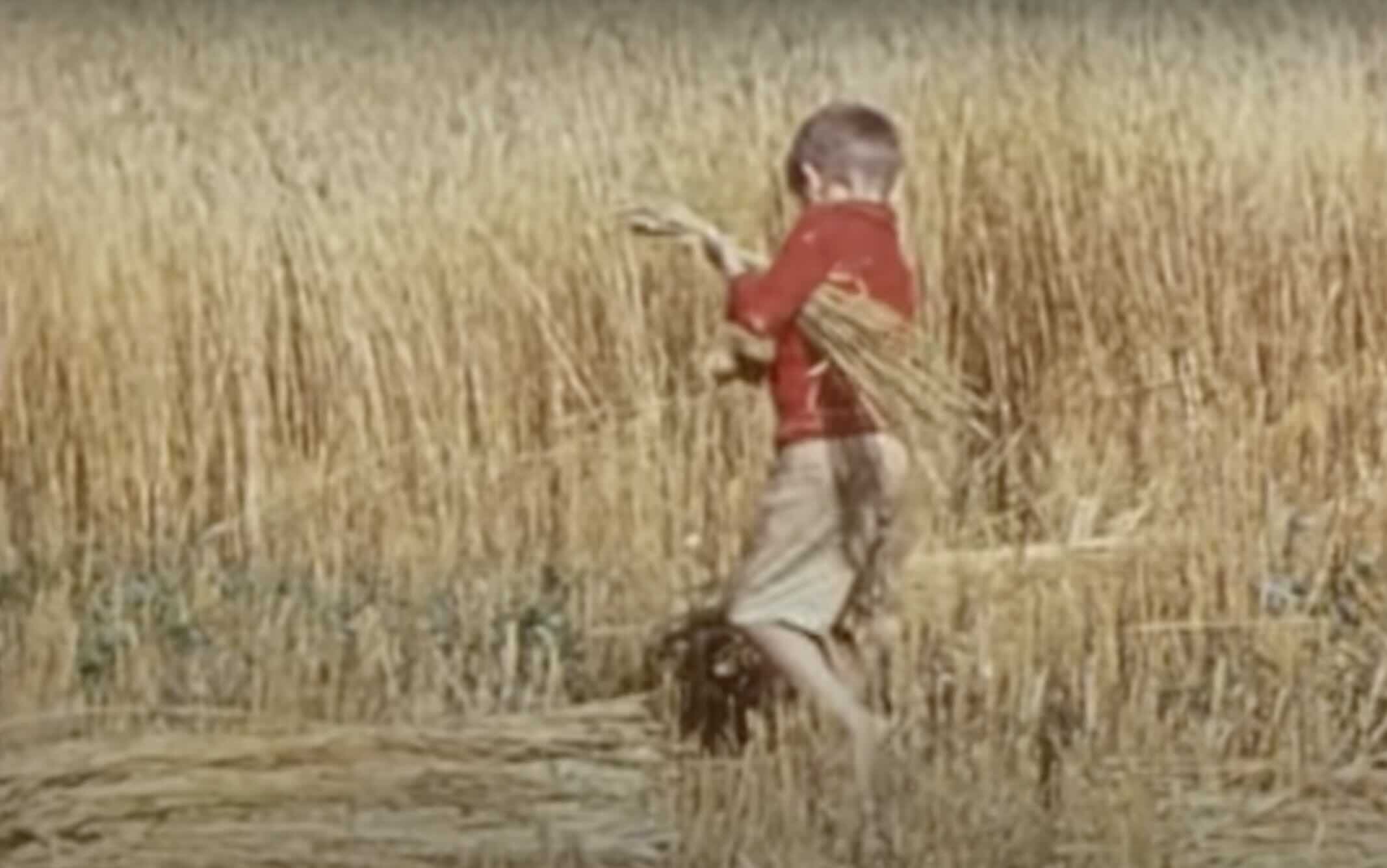 enfant-en-abitibi-en-1942.jpg