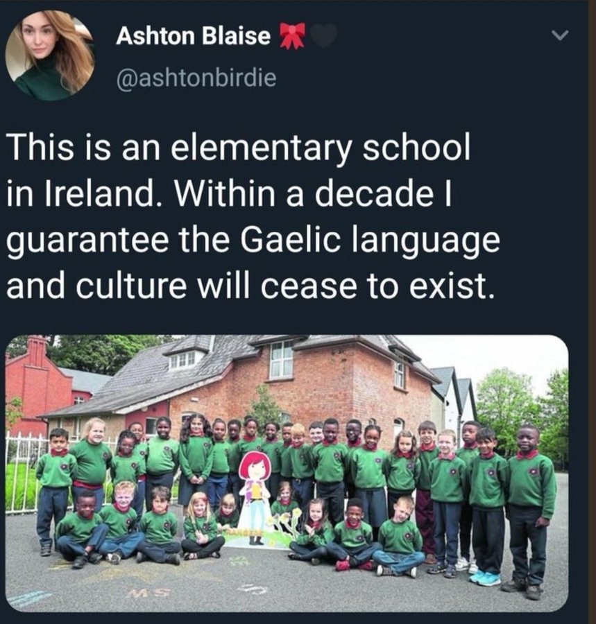 voici-une-ecole-irlandaise-ou-la-langue-gaelique-va-cesser-d-exister-en-une-seule-decennie.jpg