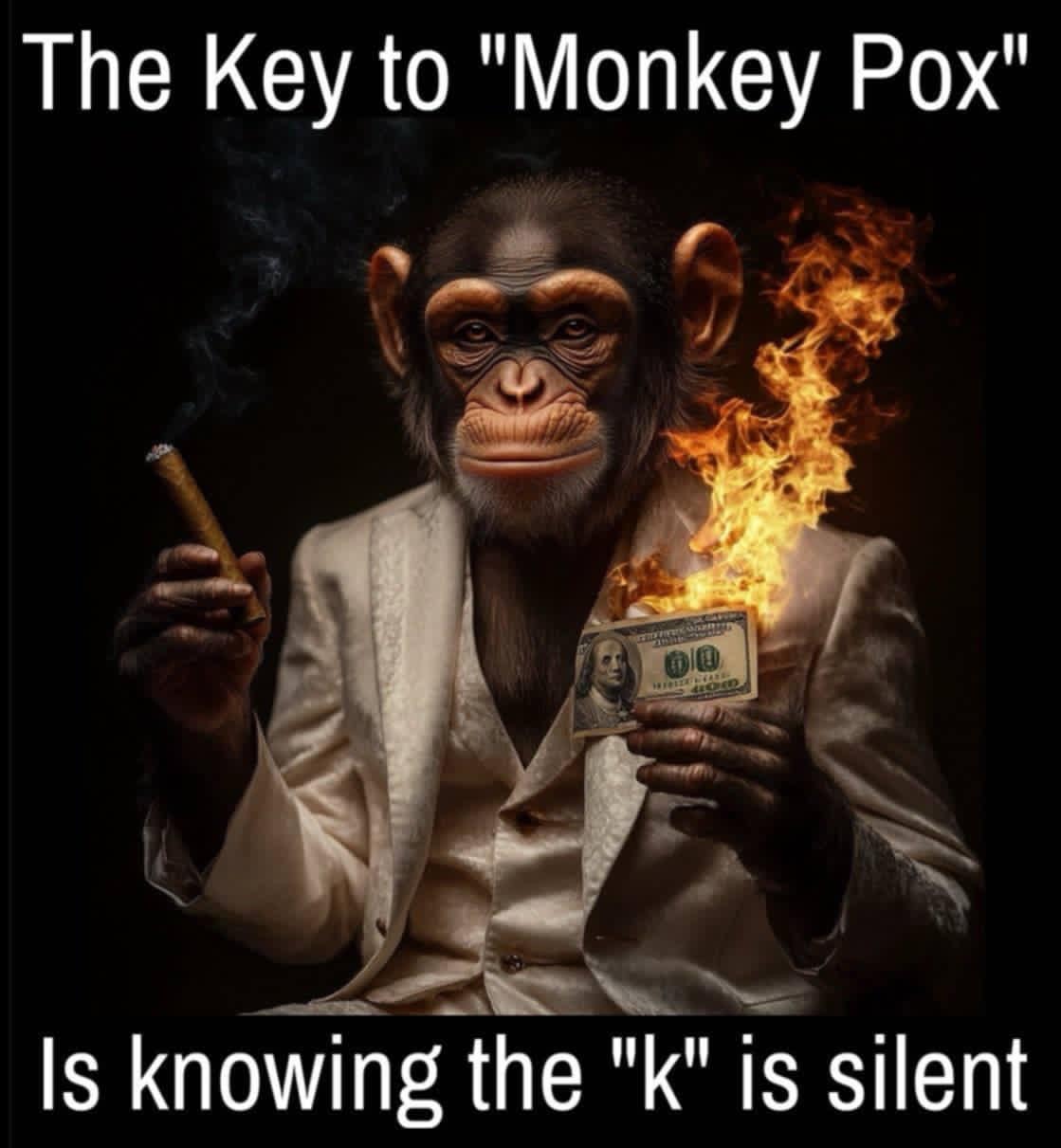 le-monkeypox-sans-le-k.jpg