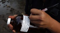 Une technicienne surveille la qualité de l'eau en Alberta<br />(LA PRESSE CANADIENNE/Jeff McIntosh)