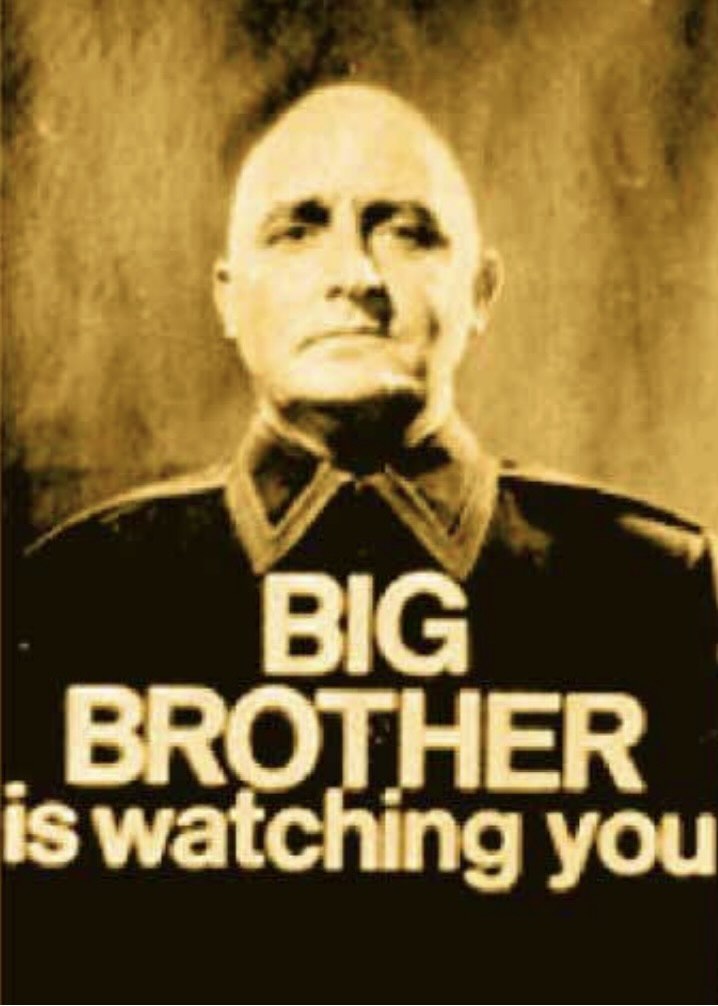 big-brother-is-watching-you.jpeg