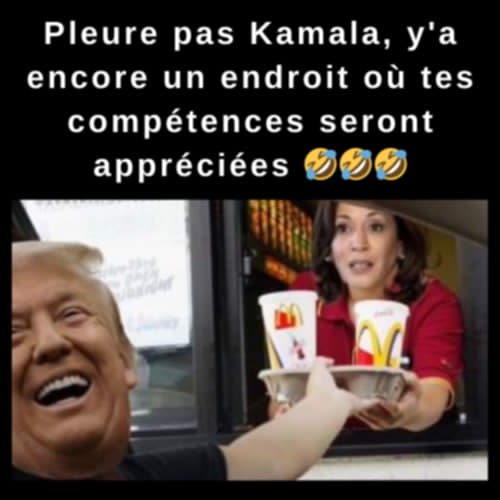 kamala-harris-reclassee-a-son-niveau-de-qi.jpg