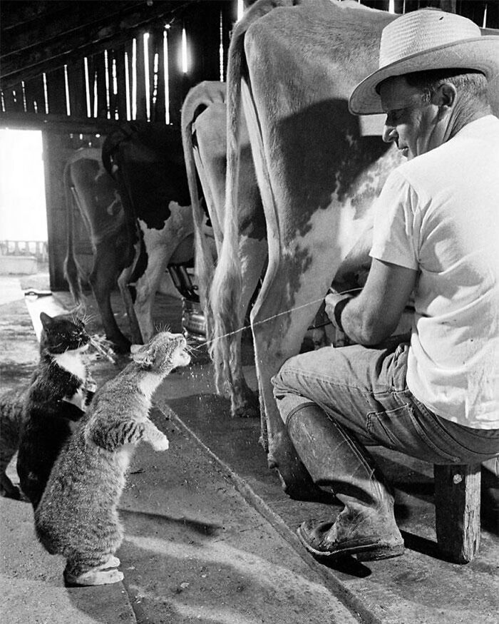 Source: https://www.boredpanda.com/interesting-historical-moments-historicalpix/