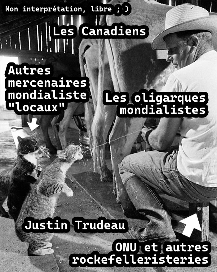 l-arnaque-de-la-mafia-mondialiste-et-de-ses-acteurs-mercenaires.jpg