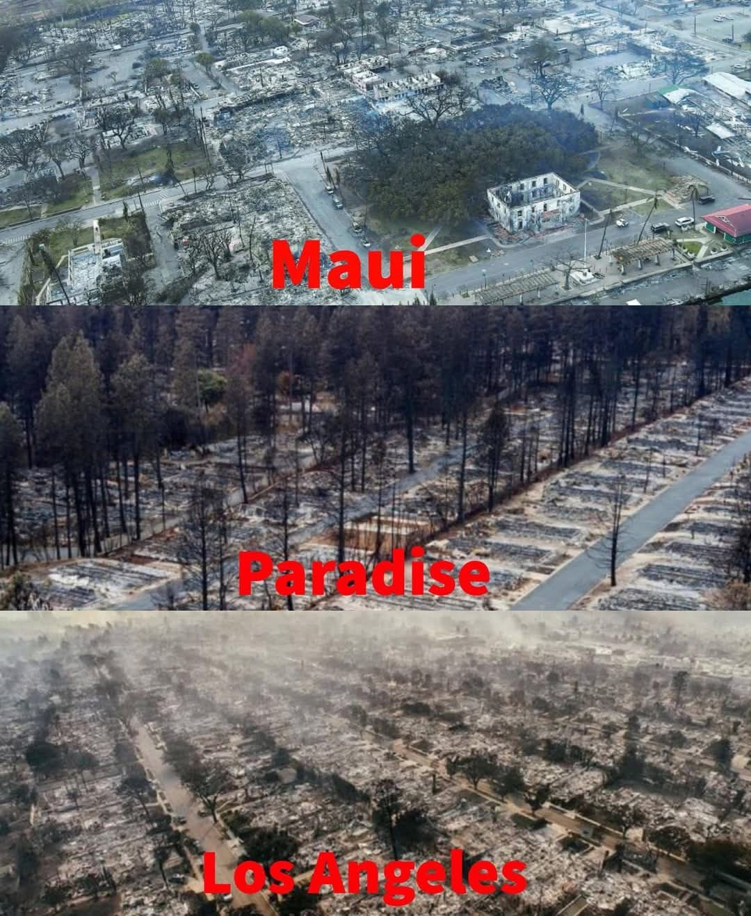 maui-paradise-la.jpg