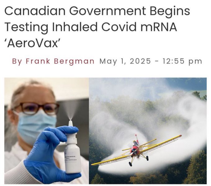 Source: https://x.com/liz_churchill10/status/1918303172143268086