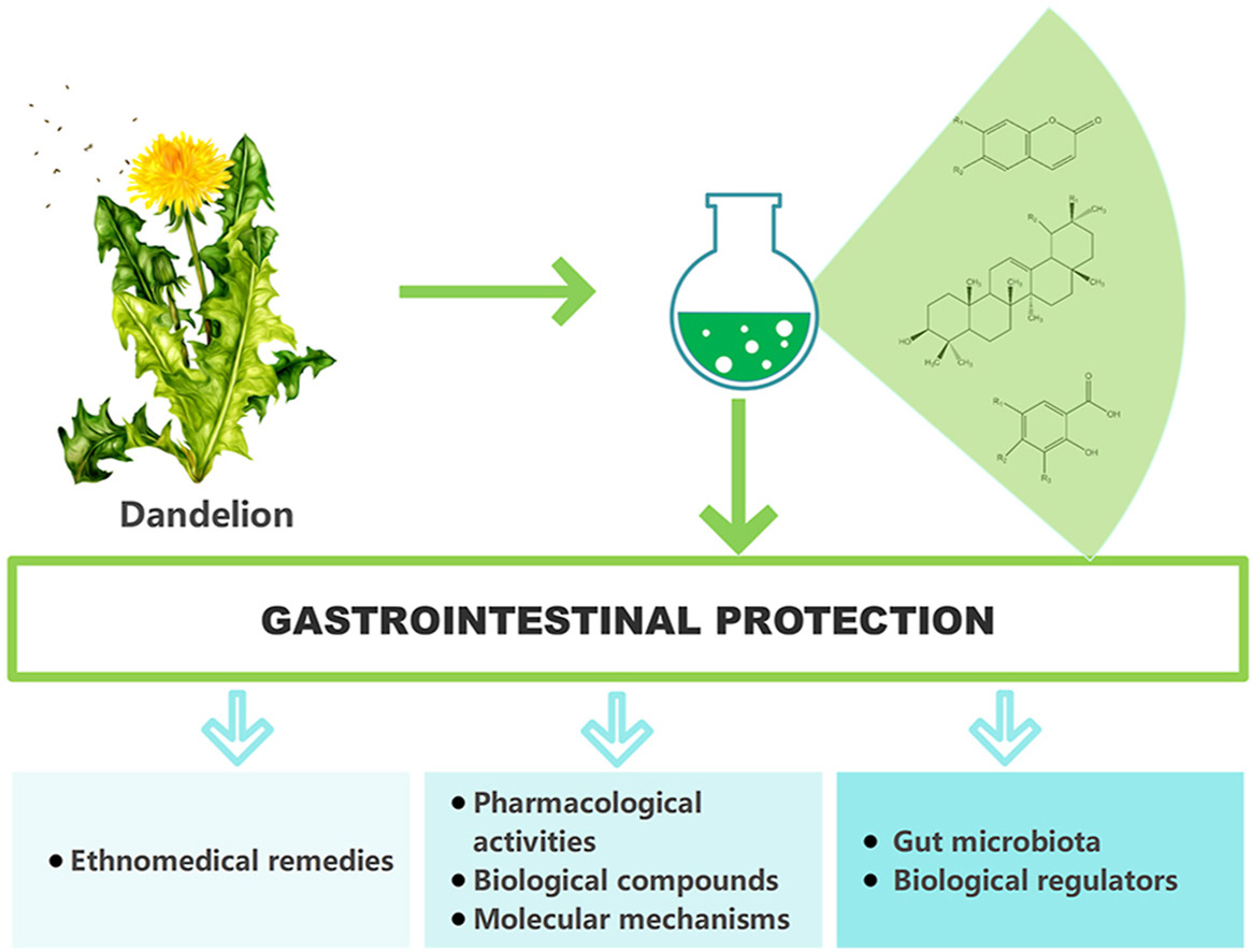 Source: https://www.sciencedirect.com/science/article/abs/pii/S0378874122003117