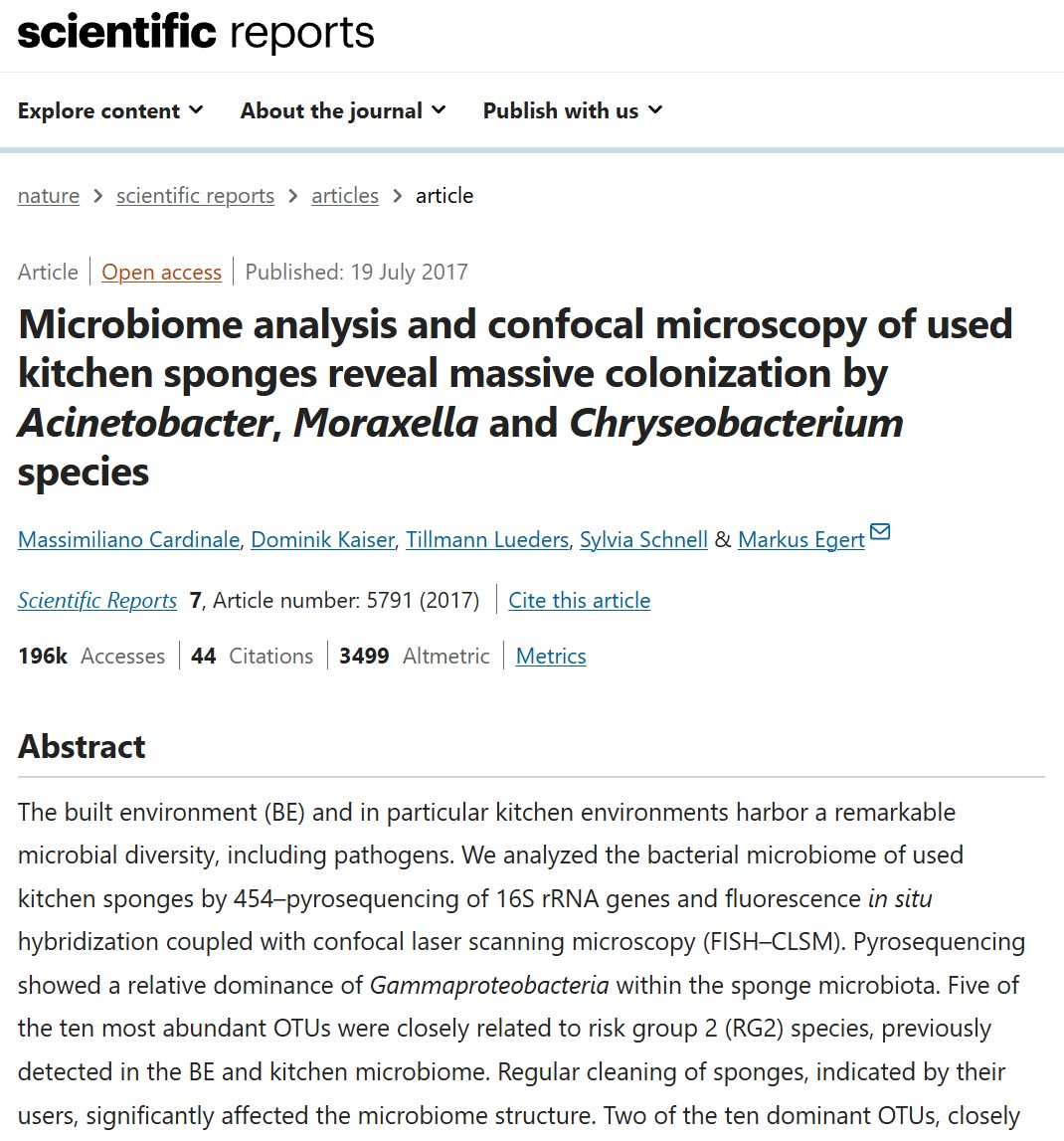 L’analyse du microbiome et la microscopie confocale des éponges de cuisine usagées révèlent une colonisation massive par les espèces Acinetobacter, Moraxella et Chryseobacterium<br /><br /><br />L’environnement bâti (EB) et en particulier les environnements de cuisine recèlent une diversité microbienne remarquable, y compris des agents pathogènes.<br /><br />Nous avons analysé le microbiome bactérien d’éponges de cuisine usagées par pyroséquençage 454 des gènes de l’ARNr 16S et hybridation in situ en fluorescence couplée à la microscopie confocale à balayage laser (FISH-CLSM).<br /><br />Le pyroséquençage a montré une dominance relative des gammaprotéobactéries au sein du microbiote de l’éponge.<br /><br />Cinq des dix UTO les plus abondantes étaient étroitement liées aux espèces du groupe de risque 2 (GR2), précédemment détectées dans le microbiome BE et la cuisine. Le nettoyage régulier des éponges, indiqué par leurs utilisateurs, a considérablement affecté la structure du microbiome.<br /><br />Deux des dix UTO dominantes, étroitement apparentées aux espèces RG2 Chryseobacterium hominis et Moraxella osloensis, ont montré des proportions significativement plus élevées dans les éponges régulièrement assainies, remettant ainsi en question ces méthodes d’assainissement dans une perspective à long terme.<br /><br />L’étude FISH-CLSM a montré une distribution omniprésente des bactéries dans le tissu de l’éponge, se concentrant dans les cavités internes et sur les surfaces des éponges, où se produisaient des structures semblables à celles d’un biofilm.<br /><br />L’analyse des images a montré des densités locales allant jusqu’à 5,4 * 1010 cellules par cm3, et a confirmé la dominance des gammaprotéobactéries.<br /><br />Notre étude souligne et visualise le rôle des éponges de cuisine en tant que points chauds microbiologiques dans l’EB, avec la capacité de collecter et de propager des bactéries ayant un potentiel pathogène probable.<br /><br /><br />Source: https://www.nature.com/articles/s41598-017-06055-9