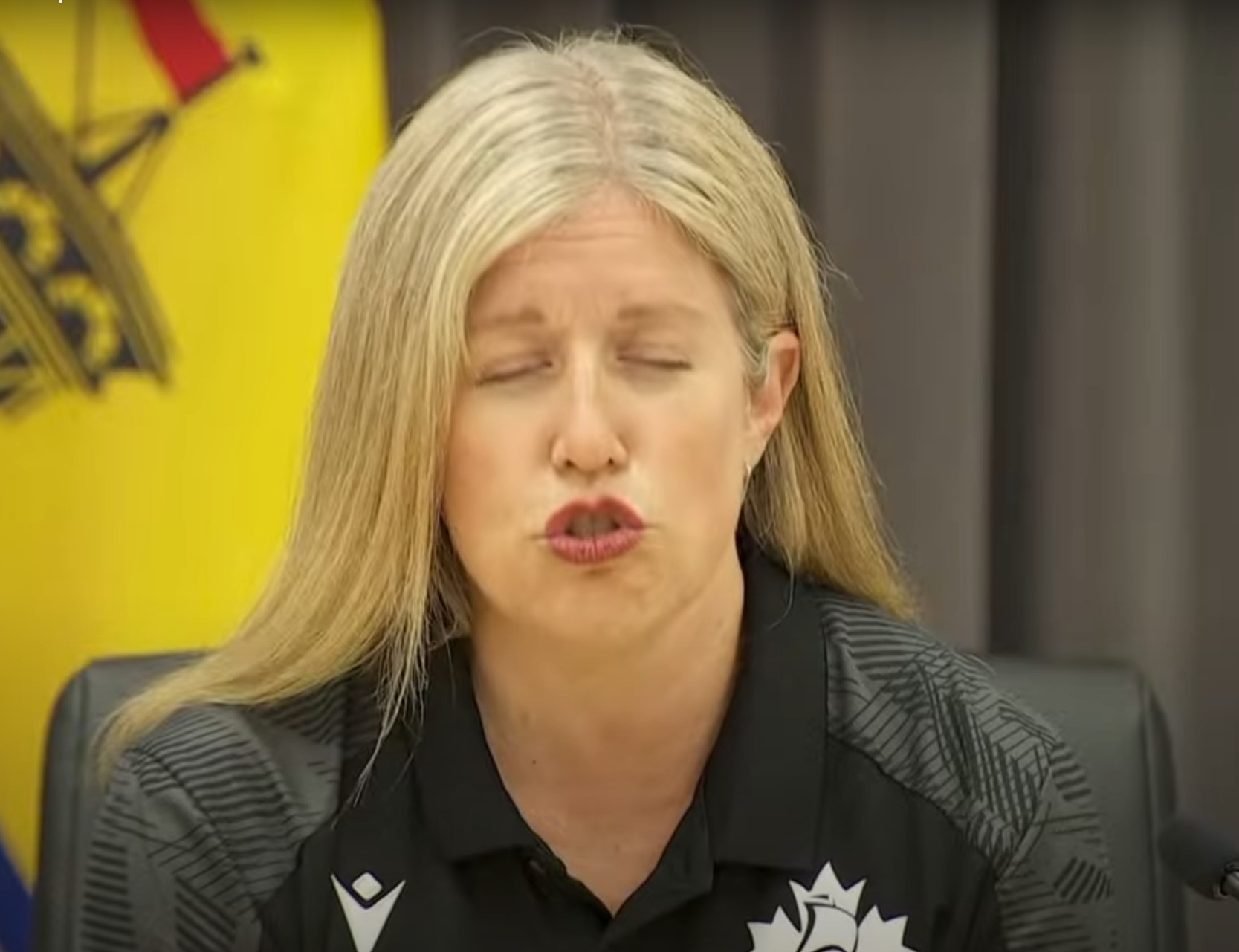 susan-holt-qui-parle-des-feux-de-forets-au-nouveau-brunswick.jpg
