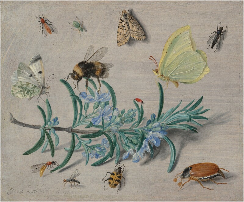 insects-and-a-sprig-of-rosemary.jpg