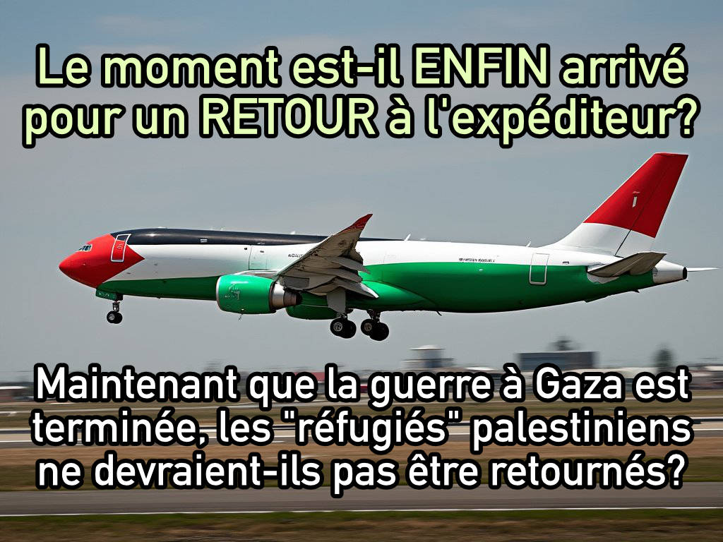 Source de l'image avant mon montage: https://x.com/truckdriverpleb/status/1976351040460161424