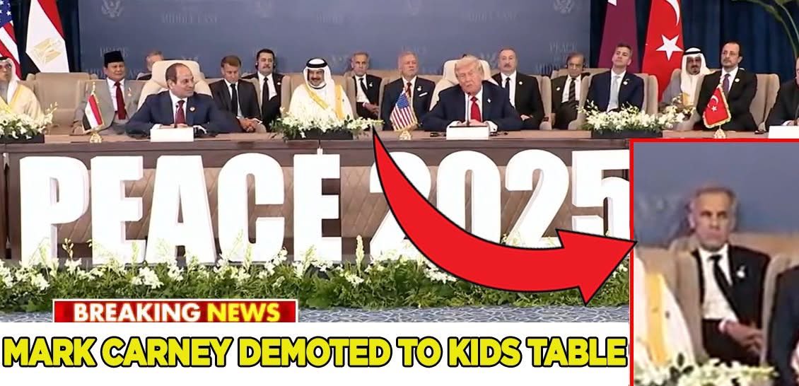 Source: https://x.com/screwx99/status/1978086957054828748/photo/1
