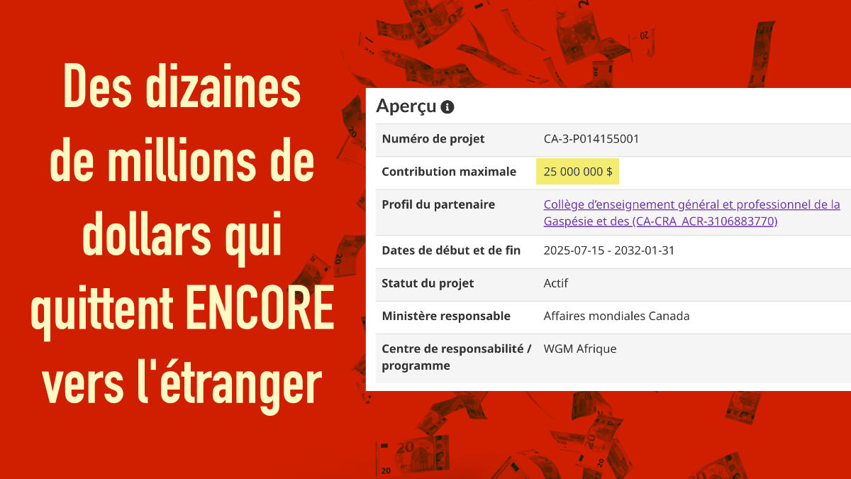 des-10aines-de-millions-pour-l-etranger.jpg
