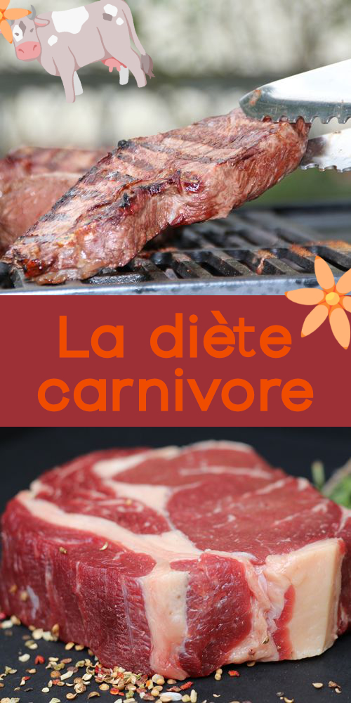 la-diete-carnivore.jpg