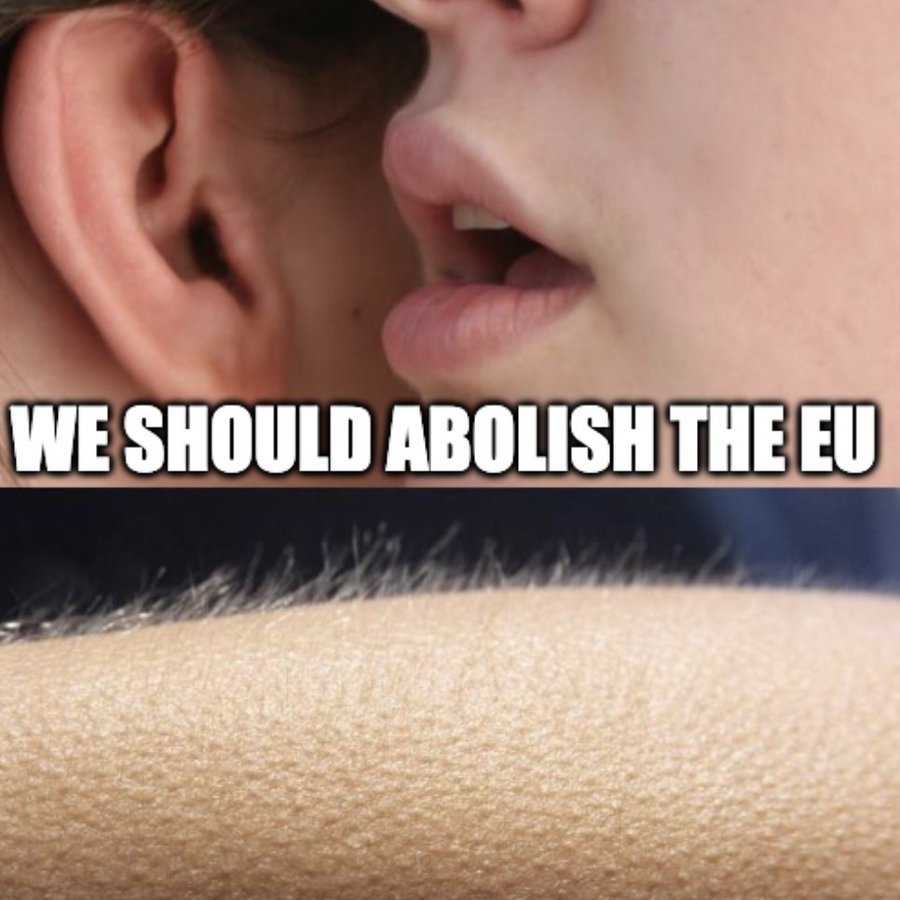 nous-devrions-abolir-l-union-europeenne.jpg