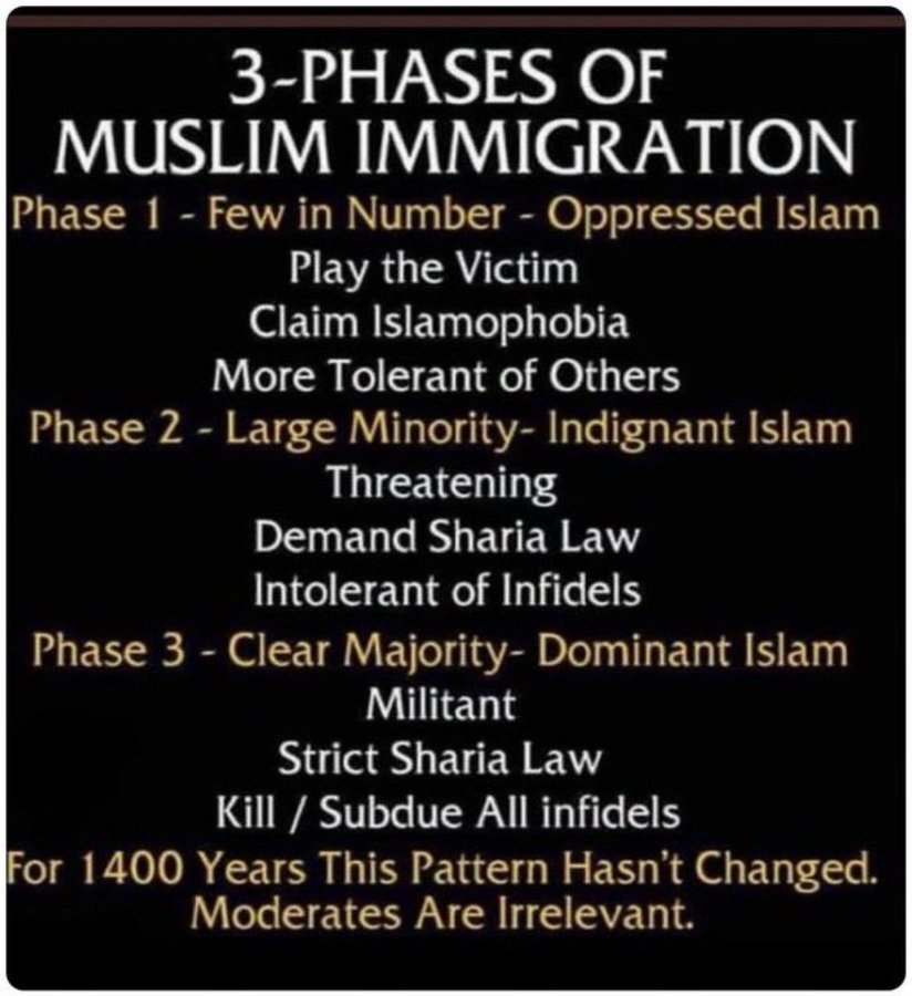 Source: https://x.com/TheDesiStand/status/1997589364956938739