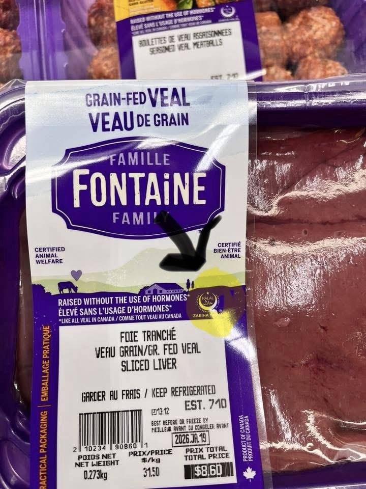 famille-fontaine-halal.jpg