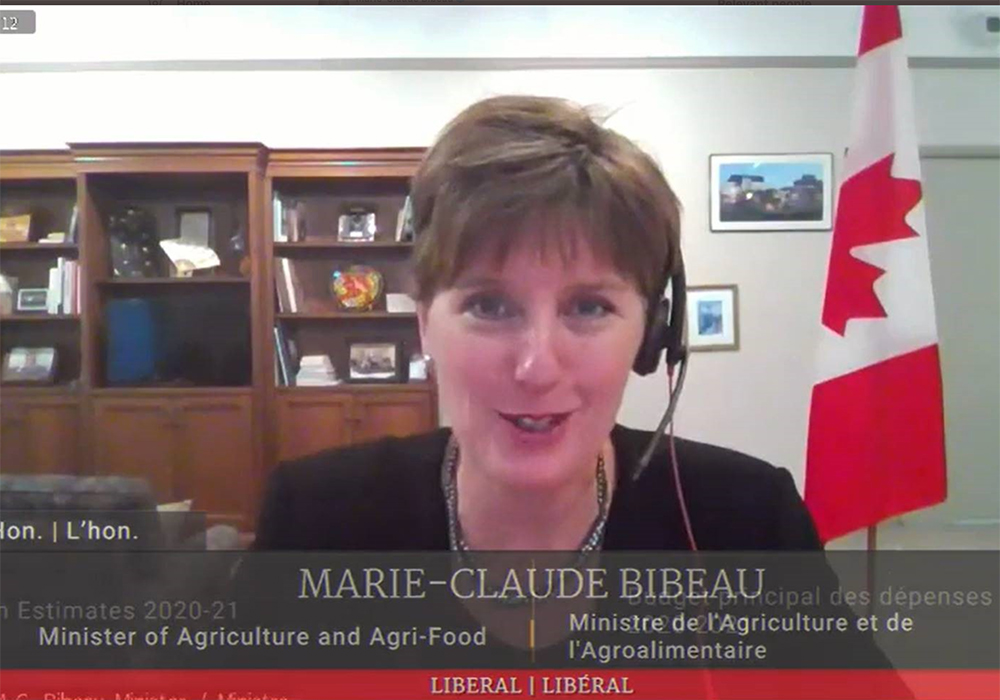 En référence à son mandat libéral au Parlement d'Ottawa, sous Justin Trudeau:<br /><br />https://www.noscommunes.ca/Members/fr/marie-claude-bibeau(88449)