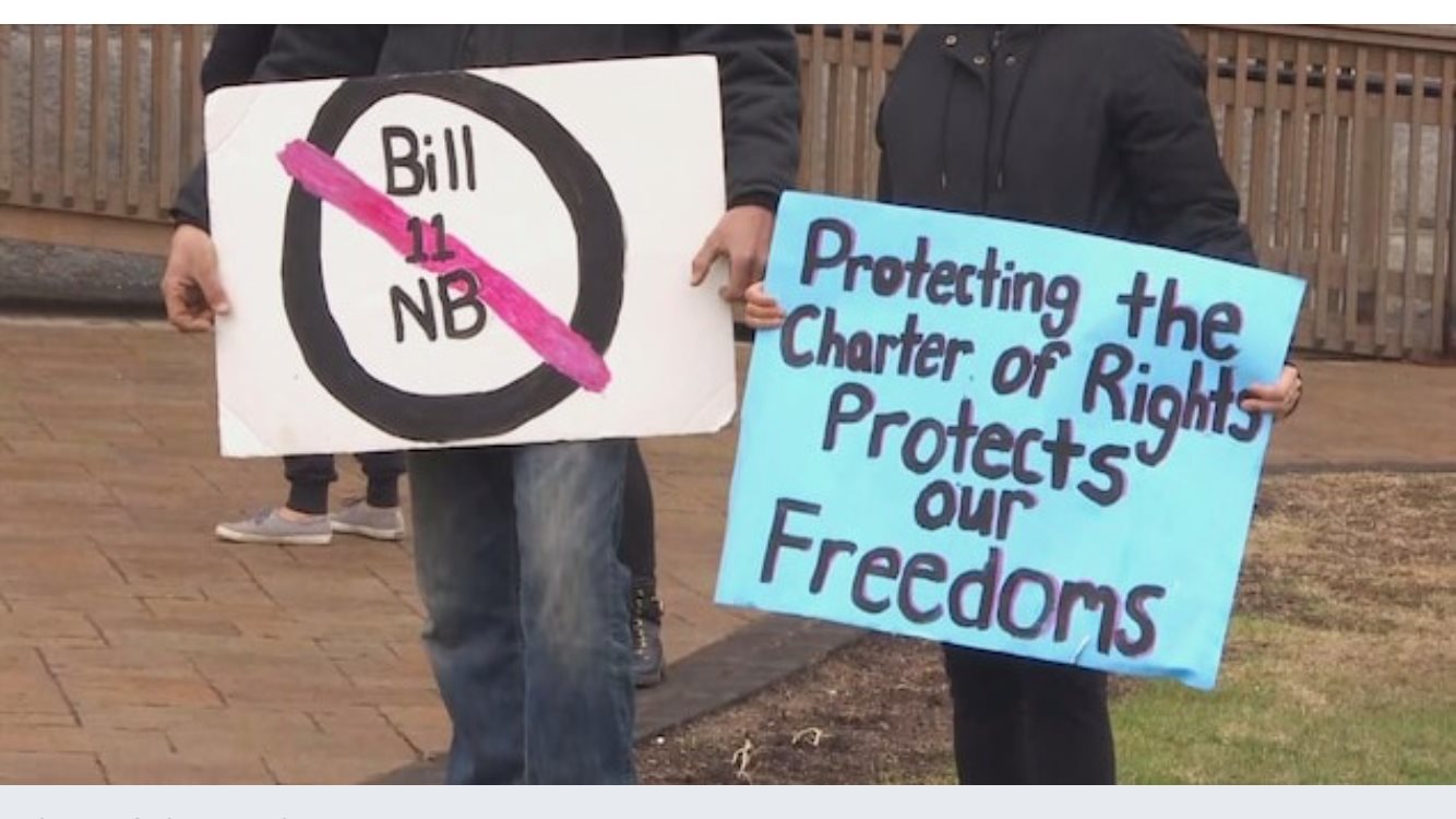 no-bill-11,in-nb.jpg
