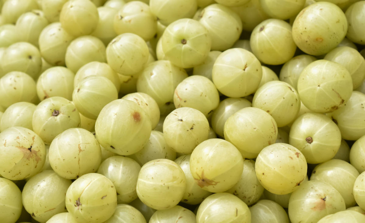 selection-de-baies-d-amla.jpg