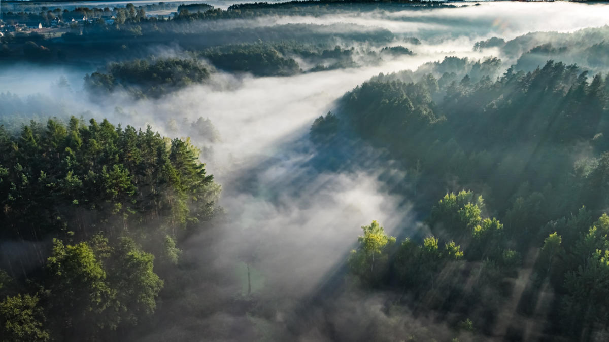 brume-du-matin-sur-la-vallee.jpg