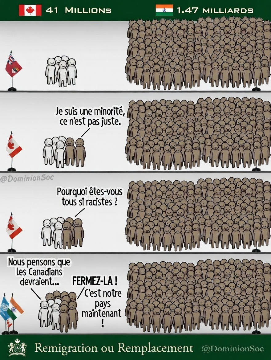remigration-ou-remplacement.jpg