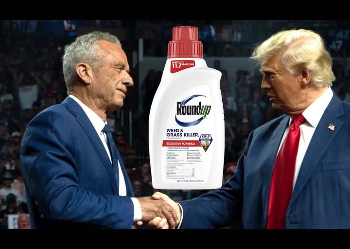 Source: https://www.facebook.com/groups/newhampshirepolitics/posts/2572711386481508/