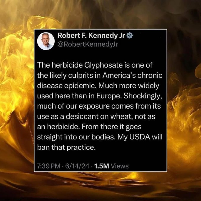 Source: https://x.com/OGLeahPatrick/status/2024686426122527123