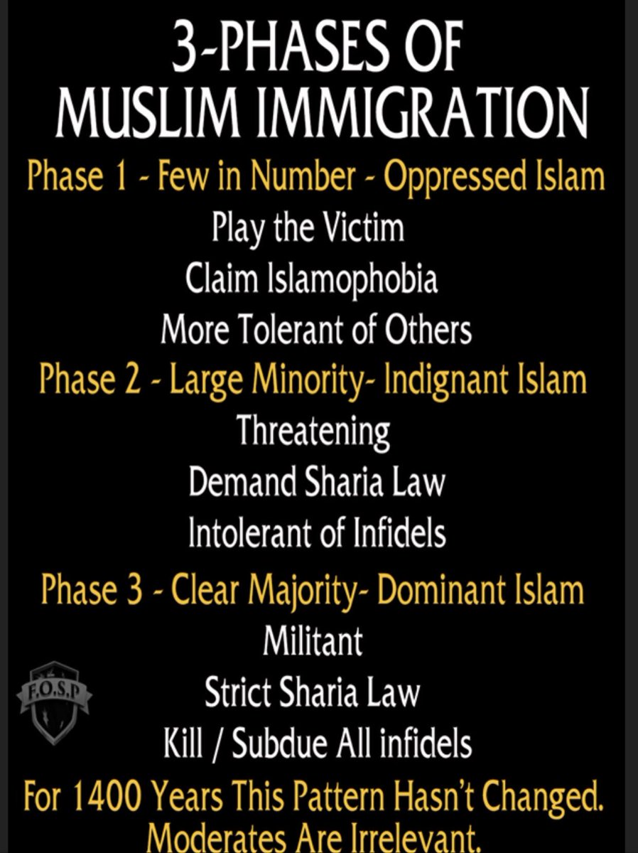 L’islamisme est une idéologie insidieuse qui ordonne à ses adeptes d’utiliser tous les moyens nécessaires pour la propager dans les pays non musulmans.<br /><br />Ils mentent, manipulent et sapent les lois occidentales, infiltrent les gouvernements, créent des alliances, développent des partenariats avec des idiots utiles, jouent la carte de la victime, prétendent être une religion de paix et d’acceptation et profitent de la générosité occidentale avant que leurs véritables intentions ne deviennent claires – à ce moment-là, il est trop tard pour les arrêter.<br /><br />Source: https://x.com/dianekaylacy/status/2022756052945826297