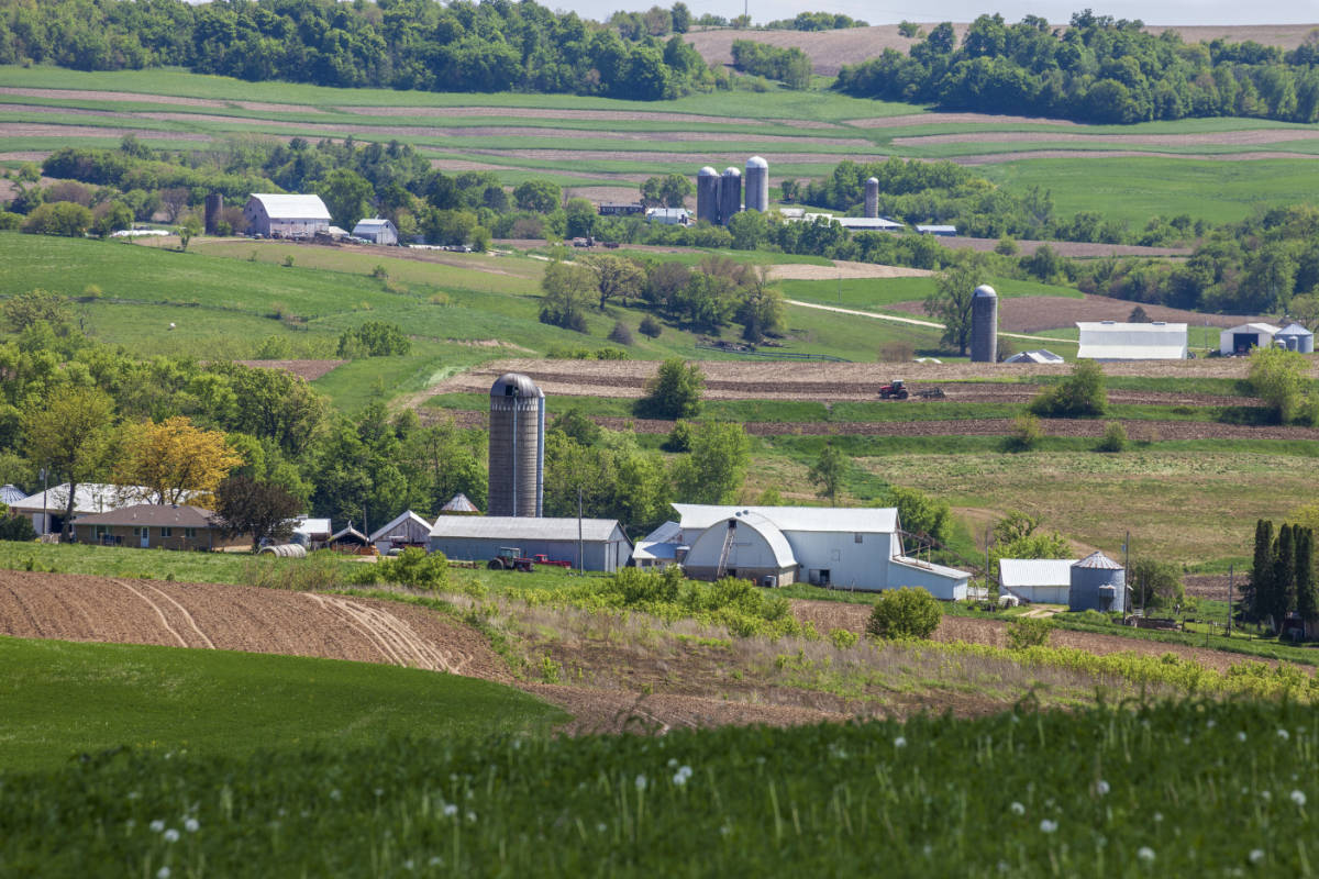 campagne-agricole.jpg