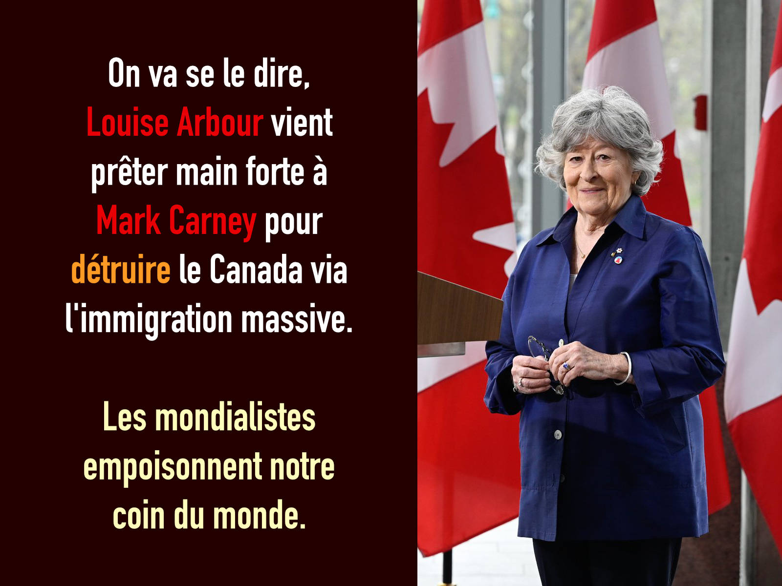 louise-arbour-en-tant-que-mondialiste-toxique.jpg