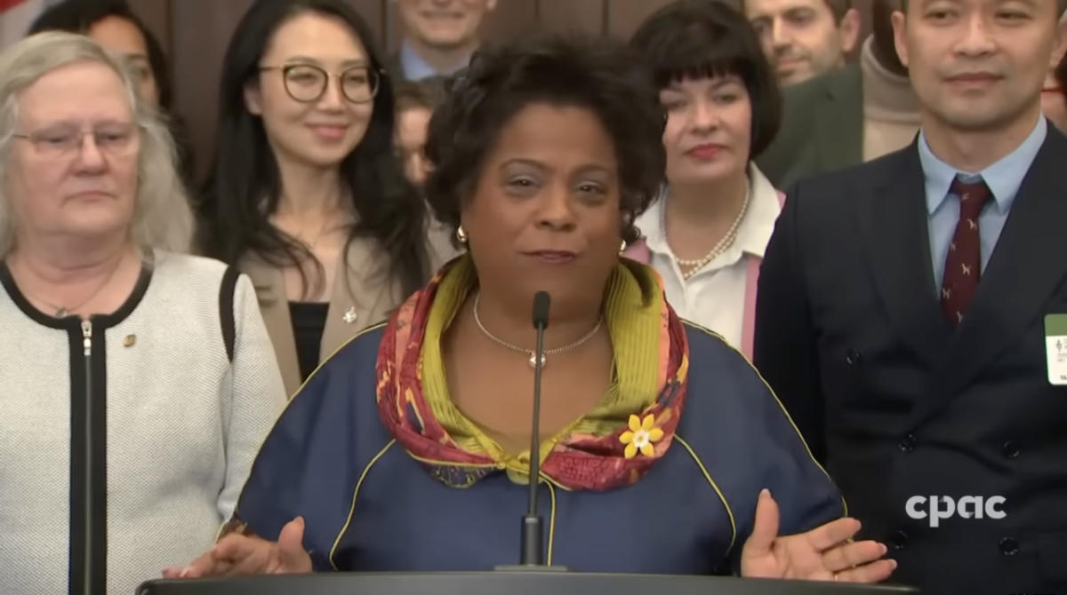 Marjorie Michel lors de son allocution du 4 février 2026 pour son <br />Projet de loi sur les services de santé numériques... encore des paroles vides et des manigances-à-go-go.<br /><br />Source: https://www.youtube.com/watch?v=uJL_v52-KGc