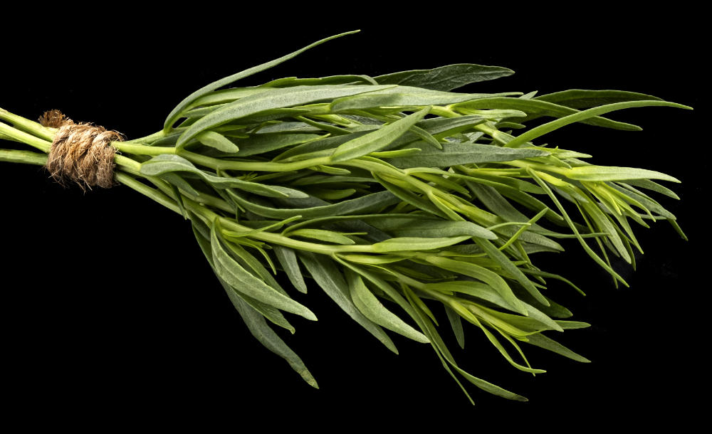 estragon-frais.jpg